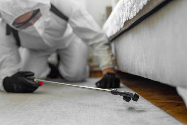 Professional Ant Control technician working in The Pinery, CO